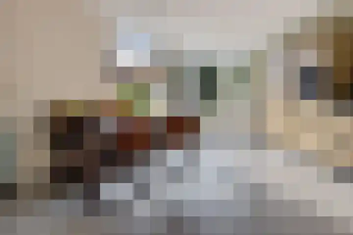 Willem Lodewijkhof 38 Steenwijk thumbnail 11