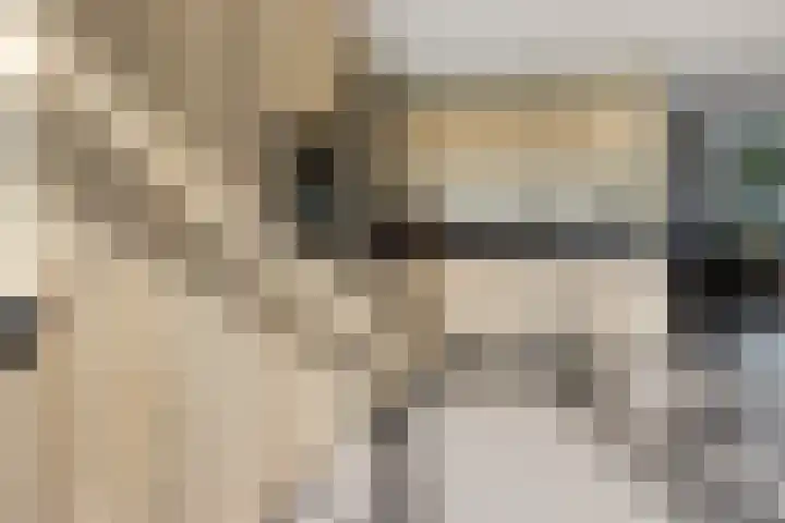 Willem Lodewijkhof 38 Steenwijk thumbnail 13
