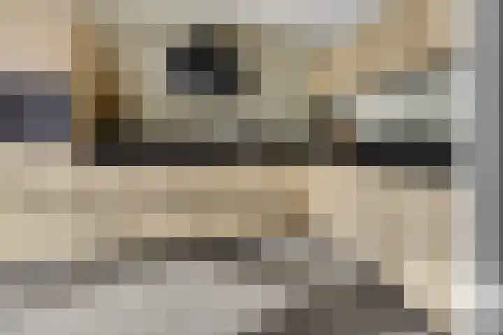 Willem Lodewijkhof 38 Steenwijk thumbnail 14