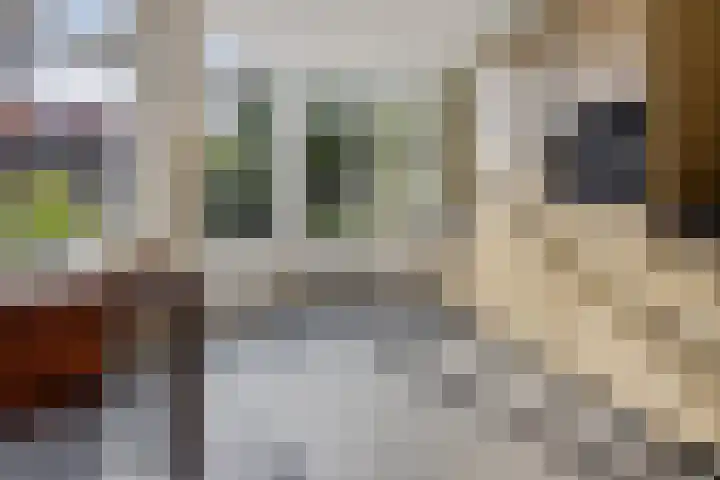 Willem Lodewijkhof 38 Steenwijk thumbnail 15