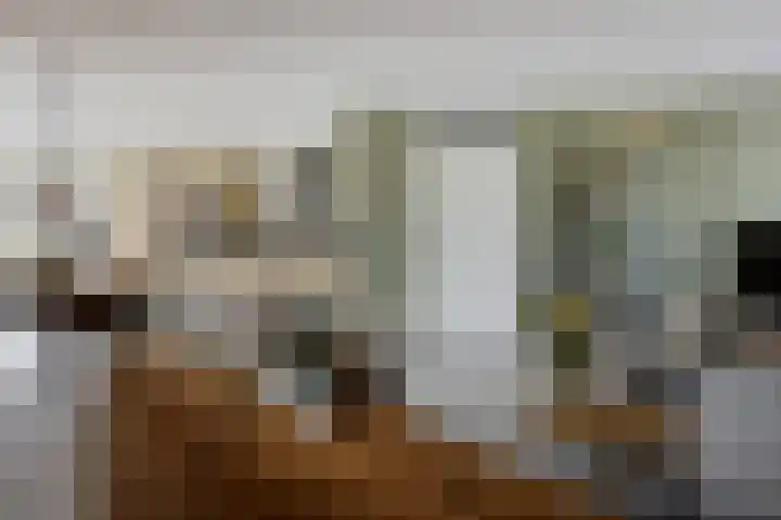 Willem Lodewijkhof 38 Steenwijk thumbnail 16