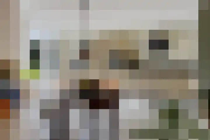Willem Lodewijkhof 38 Steenwijk thumbnail 17