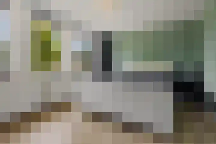 Willem Lodewijkhof 38 Steenwijk thumbnail 21
