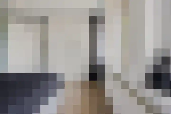 Willem Lodewijkhof 38 Steenwijk thumbnail 22