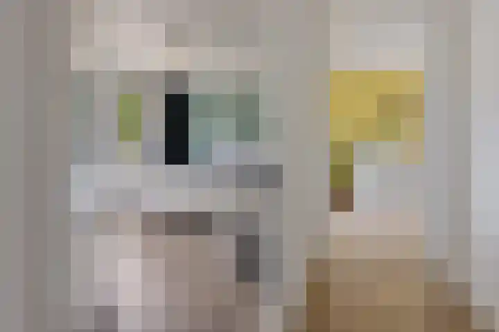 Willem Lodewijkhof 38 Steenwijk thumbnail 23