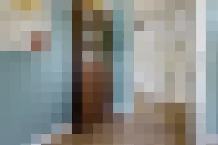 Willem Lodewijkhof 38 Steenwijk thumbnail 27
