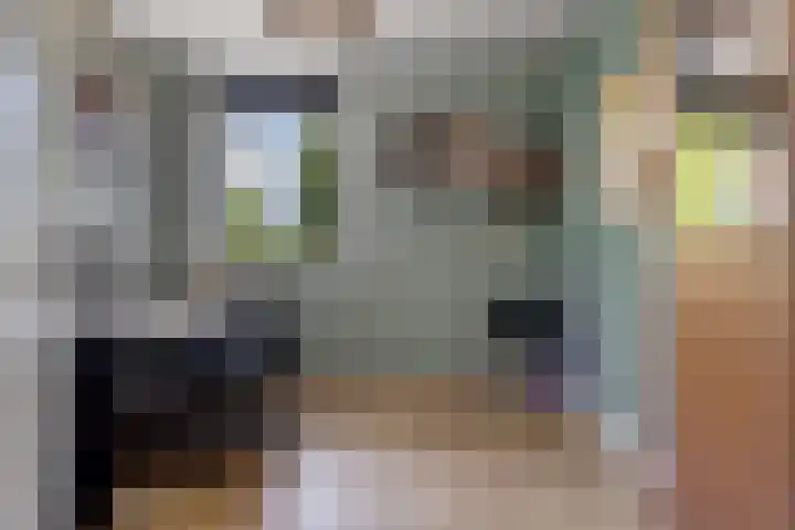 Willem Lodewijkhof 38 Steenwijk thumbnail 29