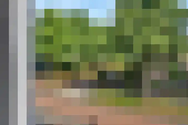 Willem Lodewijkhof 38 Steenwijk thumbnail 31