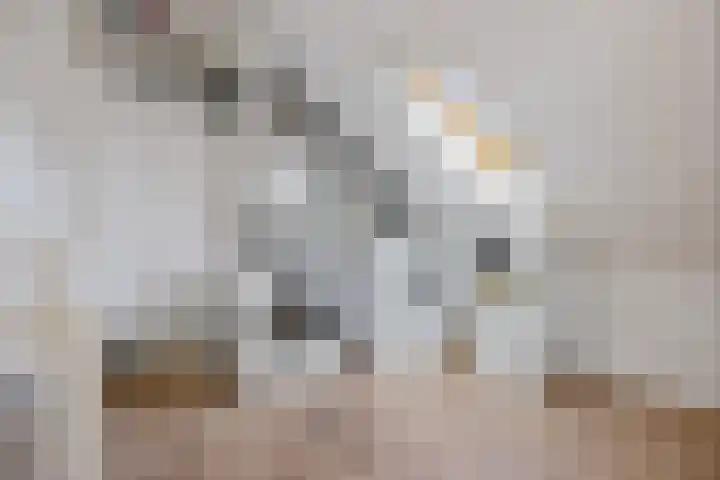 Willem Lodewijkhof 38 Steenwijk thumbnail 32