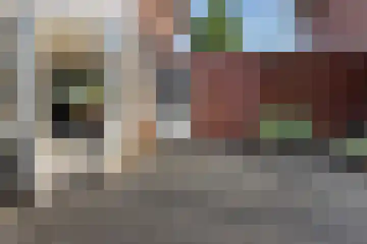 Willem Lodewijkhof 38 Steenwijk thumbnail 35