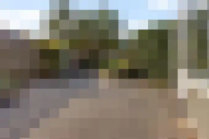 Willem Lodewijkhof 38 Steenwijk thumbnail 36