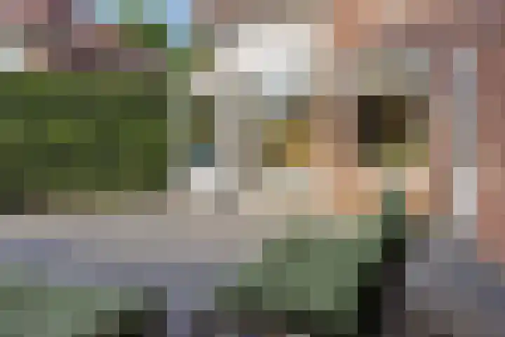 Willem Lodewijkhof 38 Steenwijk thumbnail 37