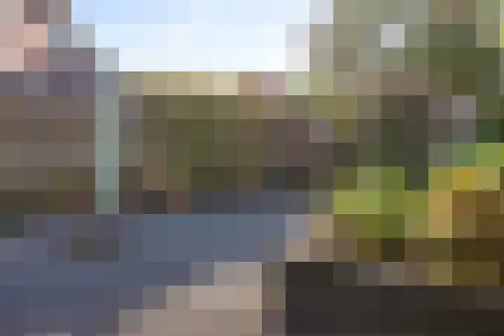 Willem Lodewijkhof 38 Steenwijk thumbnail 39
