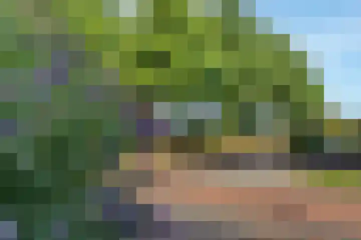 Willem Lodewijkhof 38 Steenwijk thumbnail 4
