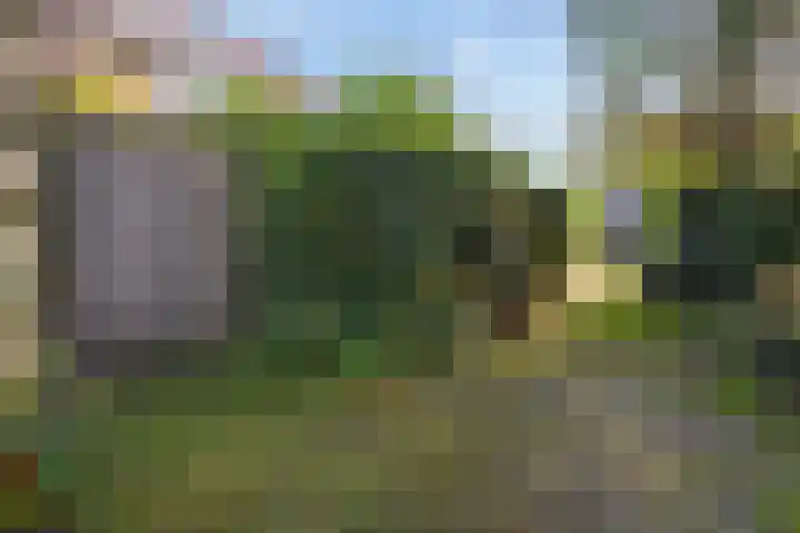 Willem Lodewijkhof 38 Steenwijk thumbnail 40