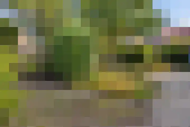 Willem Lodewijkhof 38 Steenwijk thumbnail 41