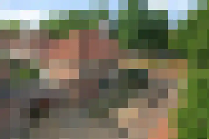 Willem Lodewijkhof 38 Steenwijk thumbnail 42