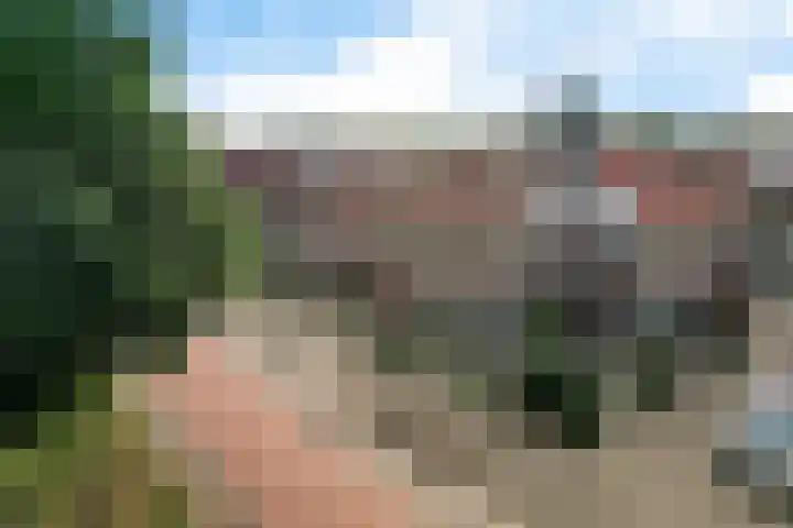 Willem Lodewijkhof 38 Steenwijk thumbnail 43