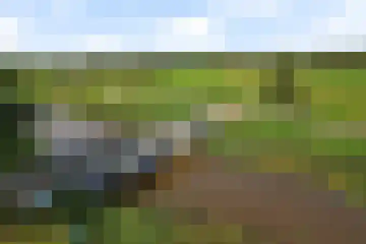 Willem Lodewijkhof 38 Steenwijk thumbnail 44