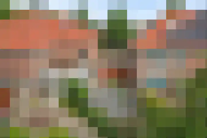 Willem Lodewijkhof 38 Steenwijk thumbnail 45