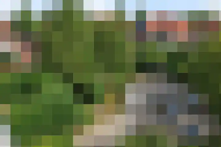 Willem Lodewijkhof 38 Steenwijk thumbnail 46