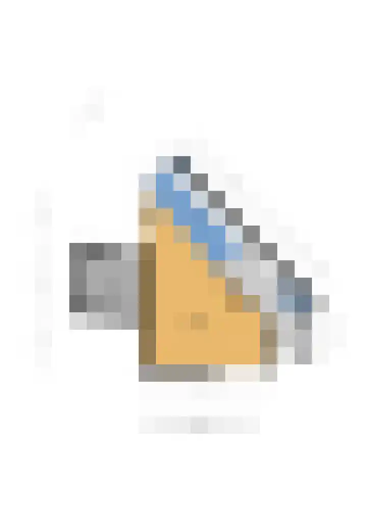 Willem Lodewijkhof 38 Steenwijk thumbnail 47