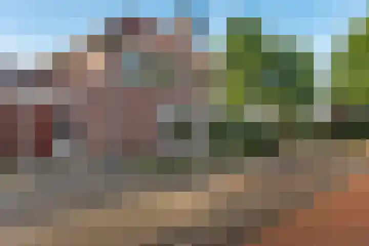 Willem Lodewijkhof 38 Steenwijk thumbnail 5