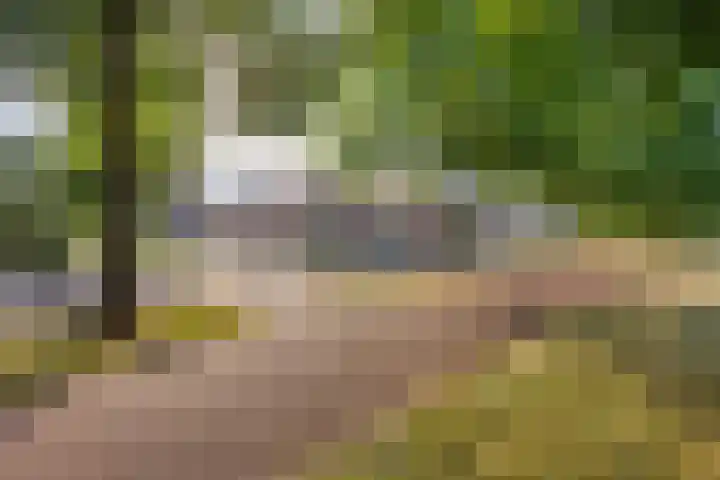Willem Lodewijkhof 38 Steenwijk thumbnail 6