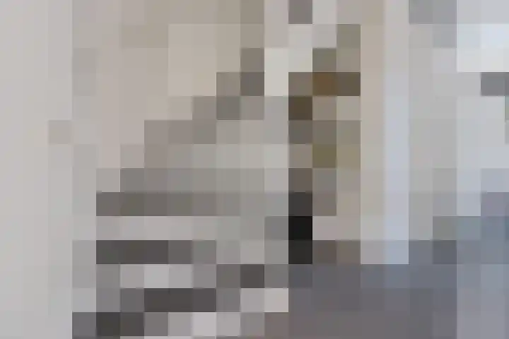 Willem Lodewijkhof 38 Steenwijk thumbnail 7