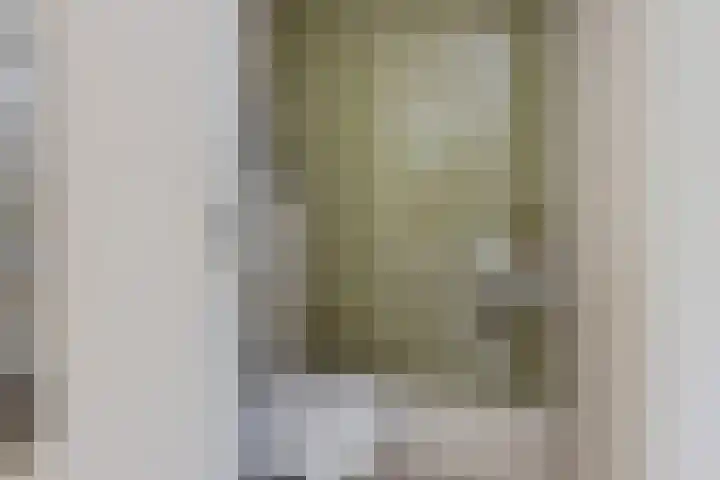 Willem Lodewijkhof 38 Steenwijk thumbnail 8
