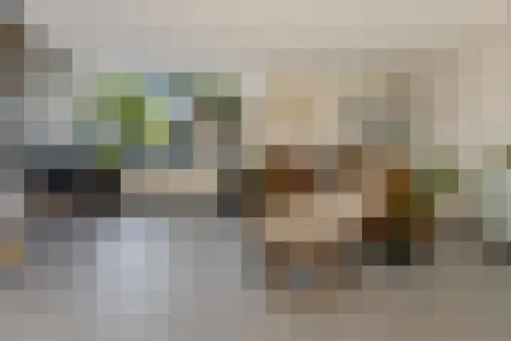Willem Lodewijkhof 38 Steenwijk thumbnail 9