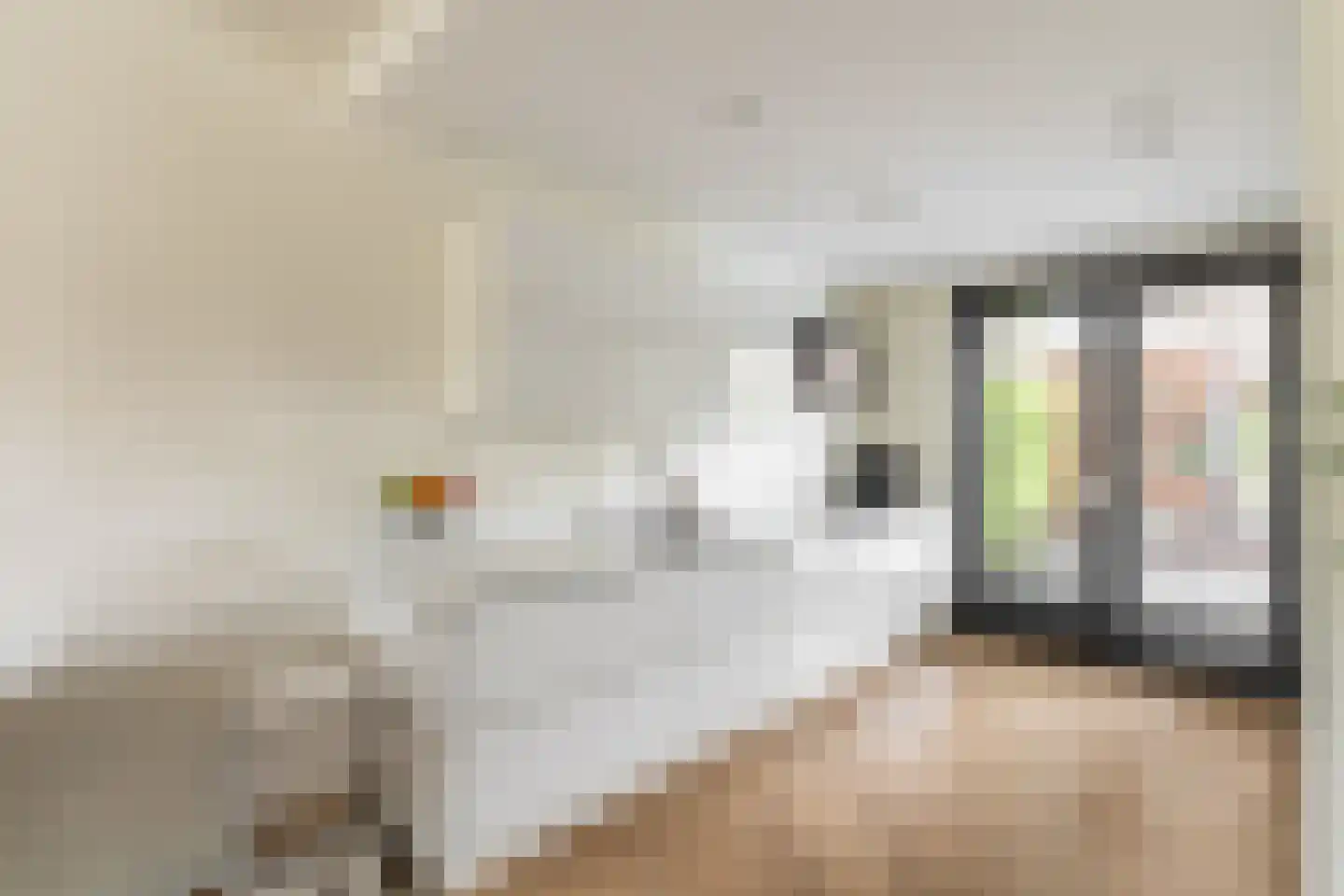 Willem Lodewijkhof 4 Alkmaar thumbnail 10