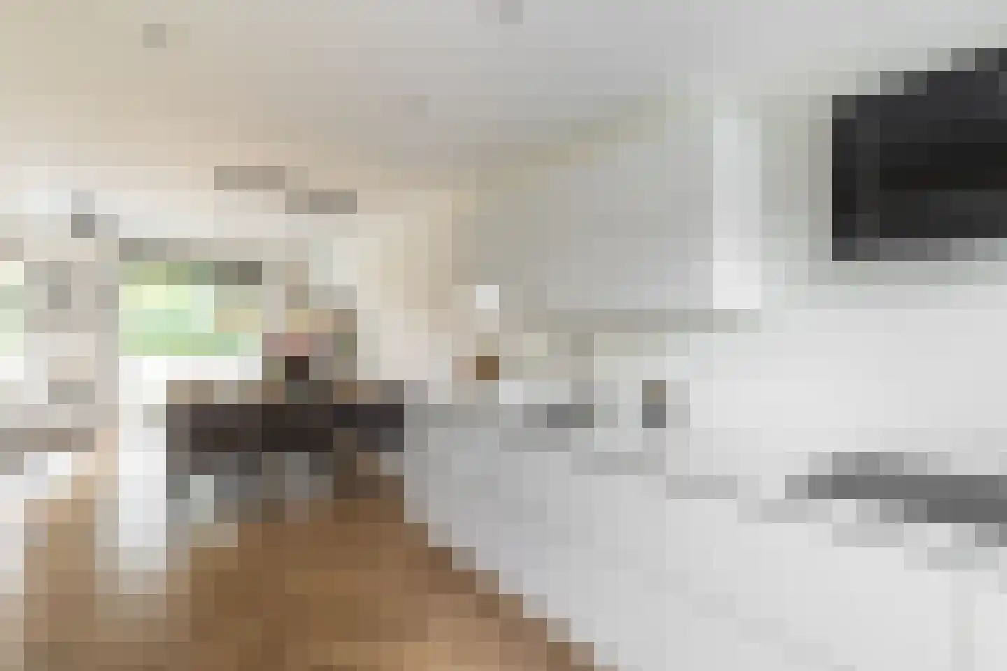 Willem Lodewijkhof 4 Alkmaar thumbnail 11