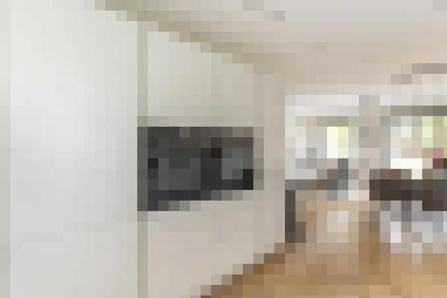 Willem Lodewijkhof 4 Alkmaar thumbnail 12