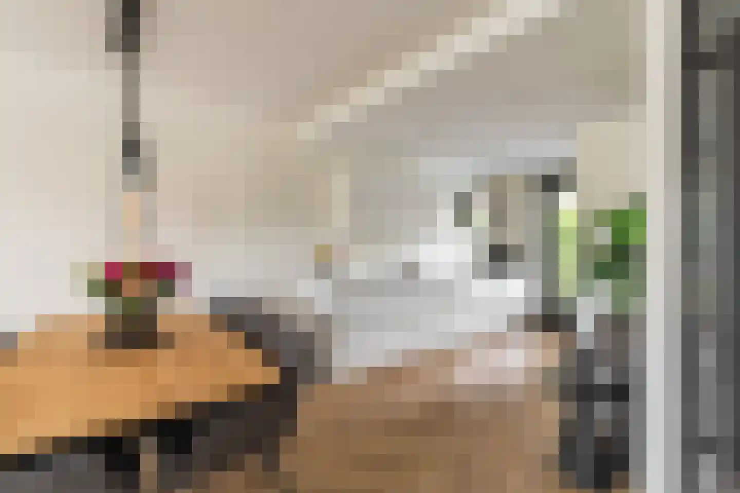 Willem Lodewijkhof 4 Alkmaar thumbnail 13