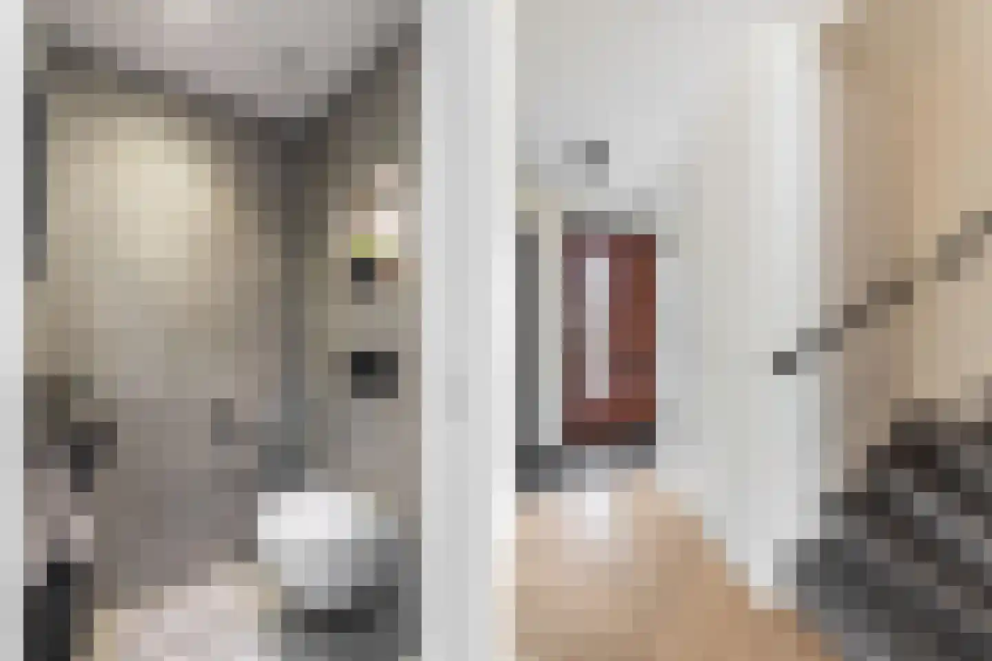 Willem Lodewijkhof 4 Alkmaar thumbnail 14