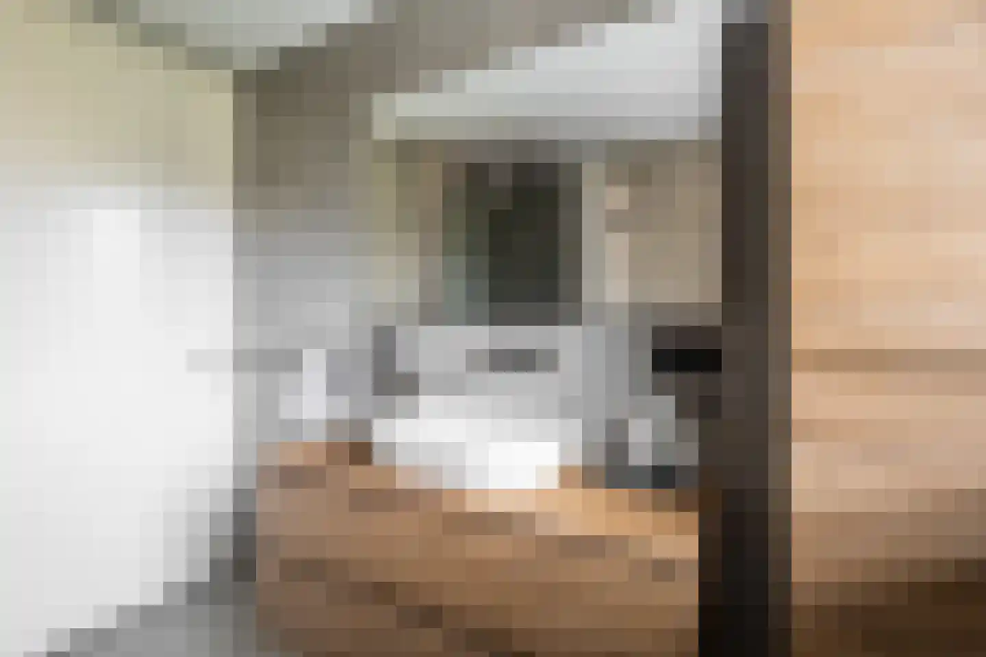 Willem Lodewijkhof 4 Alkmaar thumbnail 25