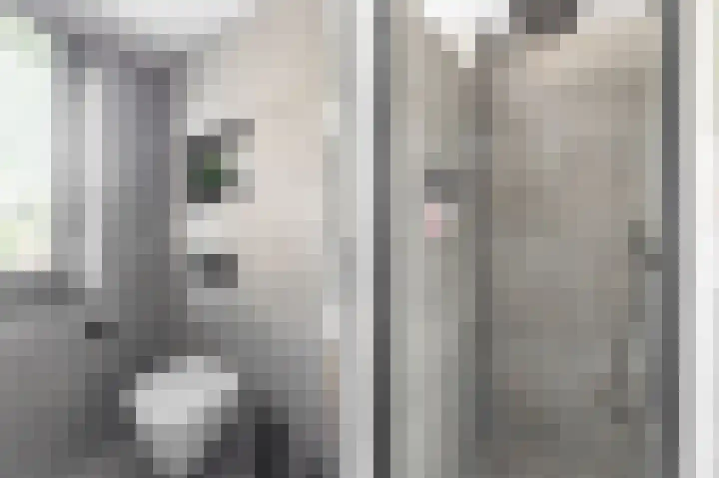 Willem Lodewijkhof 4 Alkmaar thumbnail 26