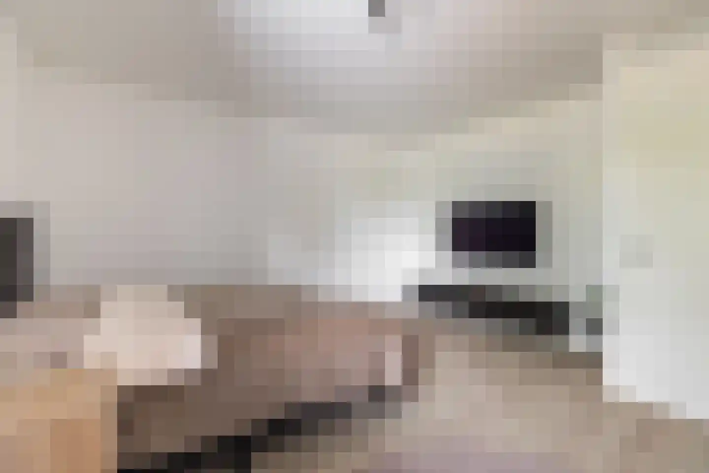 Willem Lodewijkhof 4 Alkmaar thumbnail 29