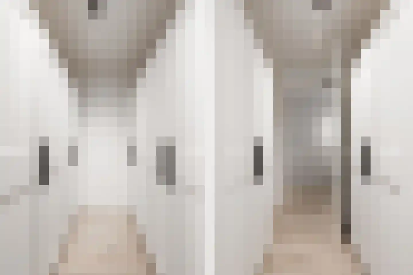 Willem Lodewijkhof 4 Alkmaar thumbnail 33