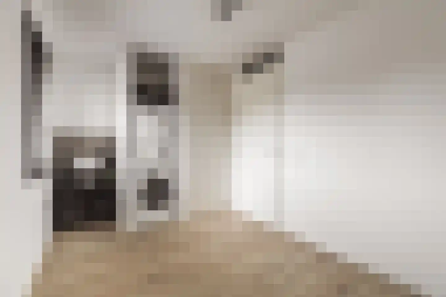 Willem Lodewijkhof 4 Alkmaar thumbnail 34
