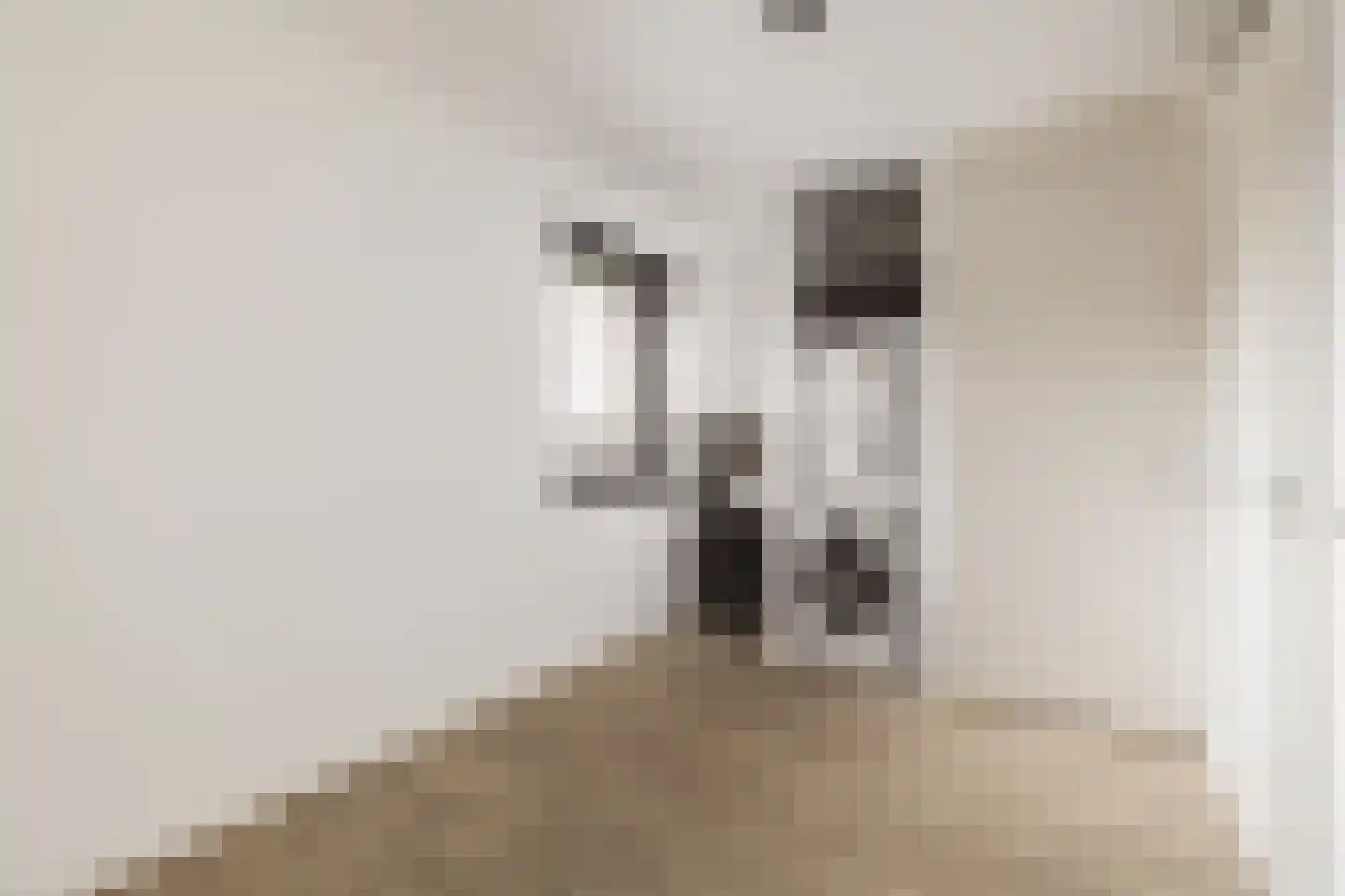 Willem Lodewijkhof 4 Alkmaar thumbnail 36
