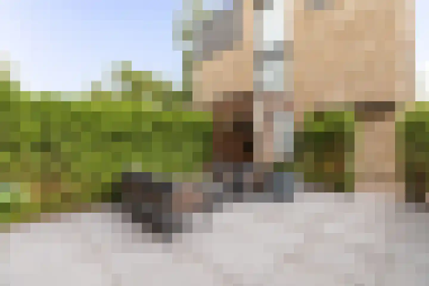 Willem Lodewijkhof 4 Alkmaar thumbnail 43