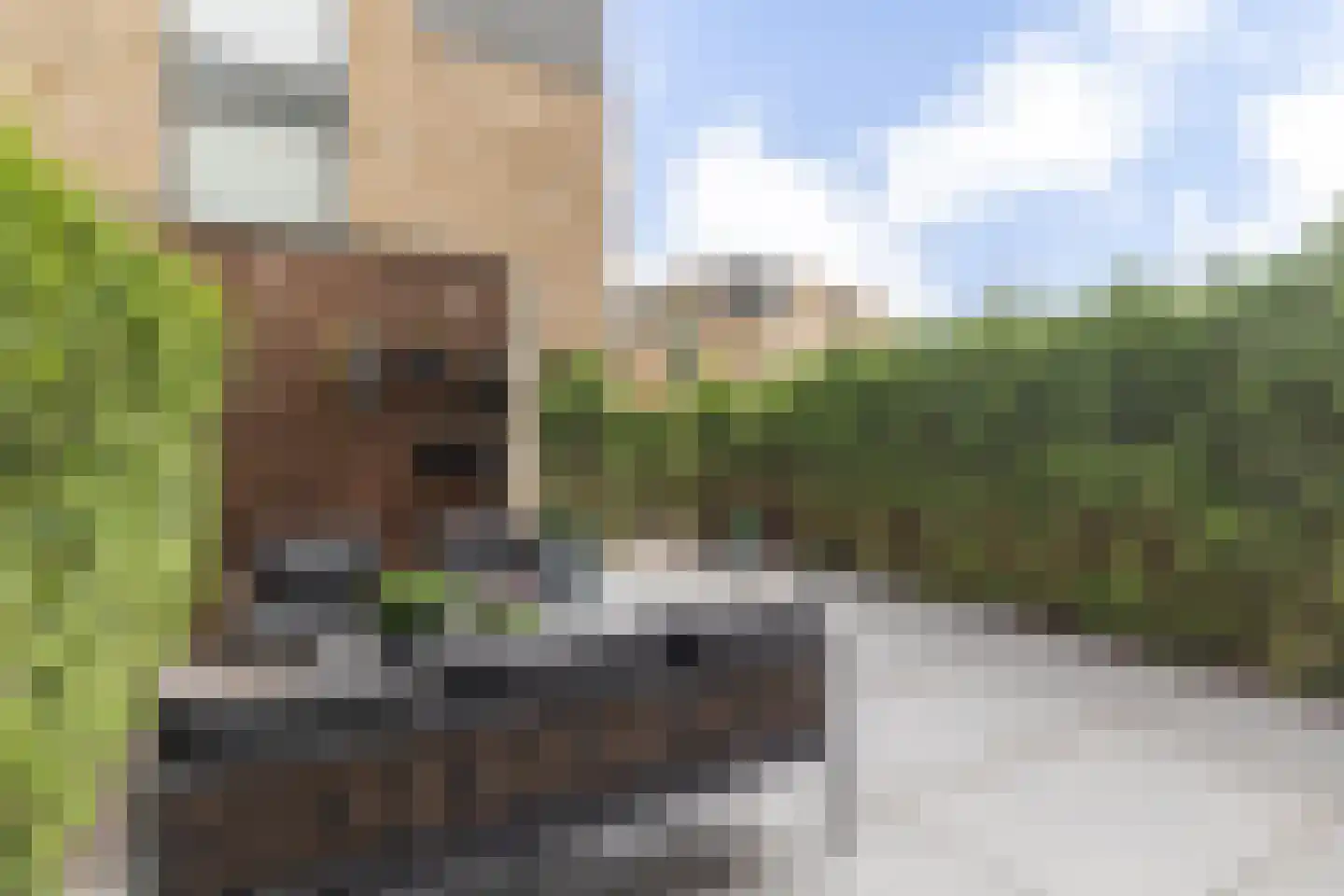 Willem Lodewijkhof 4 Alkmaar thumbnail 44