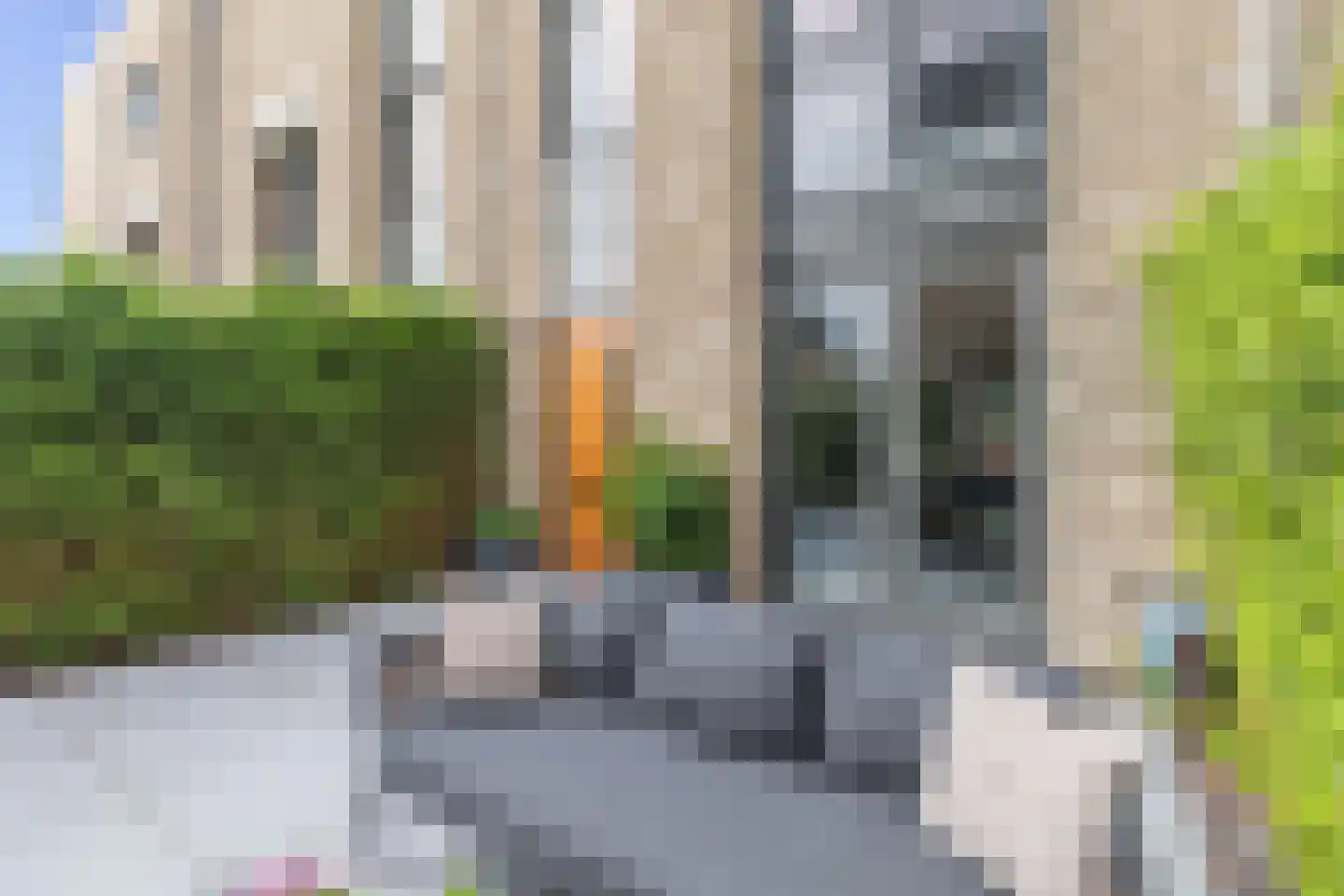 Willem Lodewijkhof 4 Alkmaar thumbnail 47