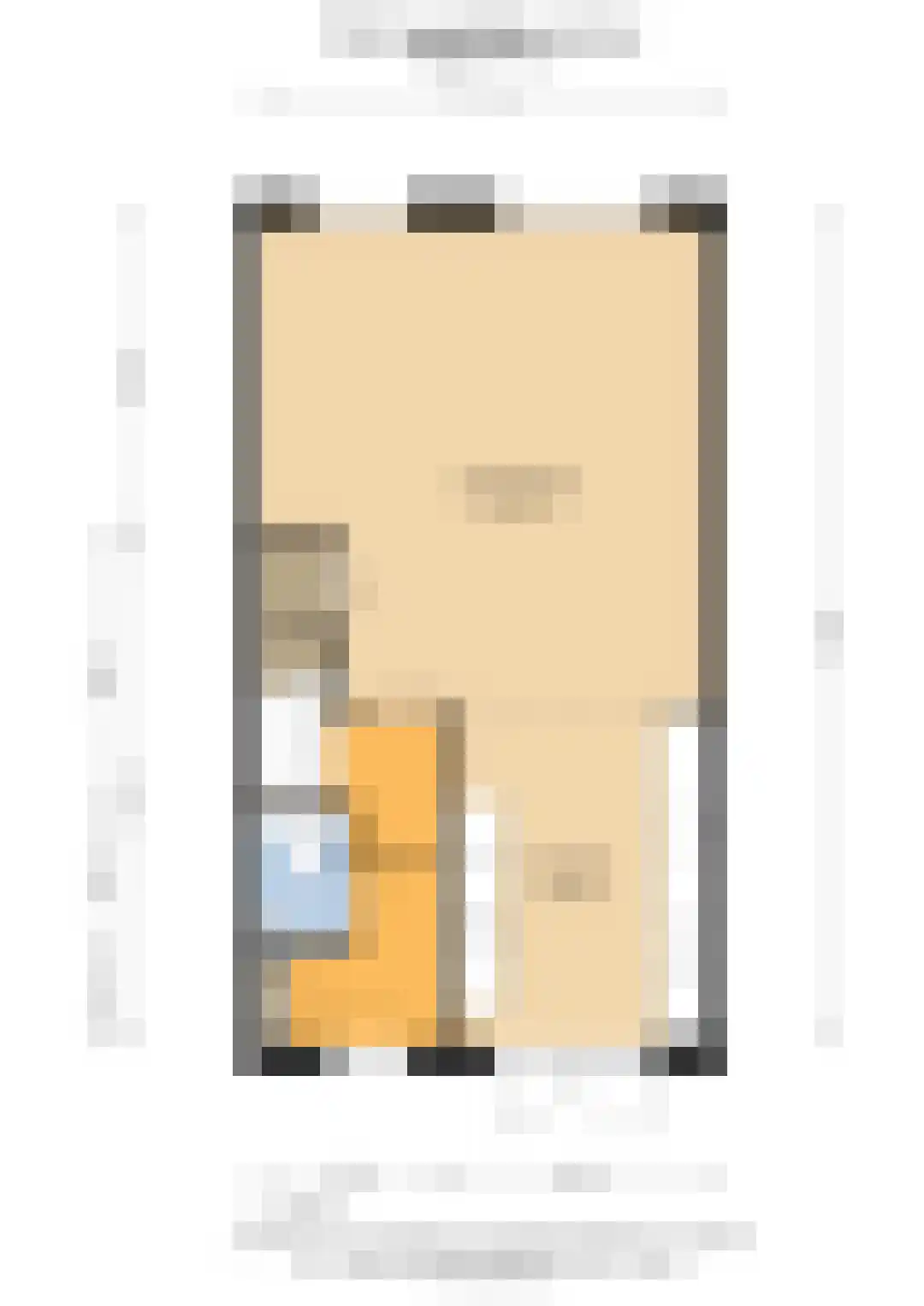 Willem Lodewijkhof 4 Alkmaar thumbnail 52