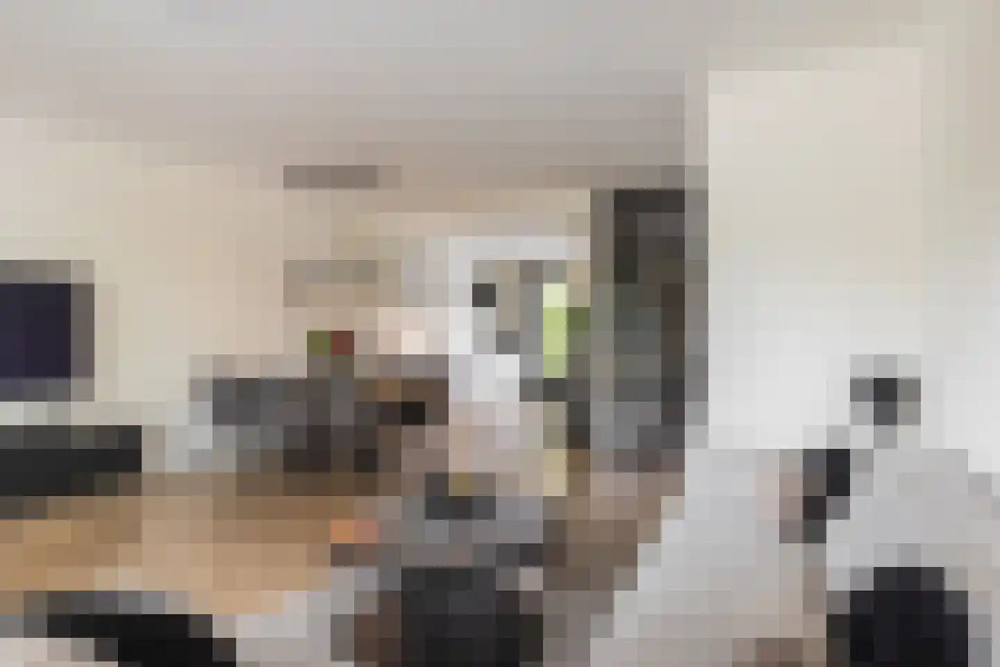 Willem Lodewijkhof 4 Alkmaar thumbnail 6