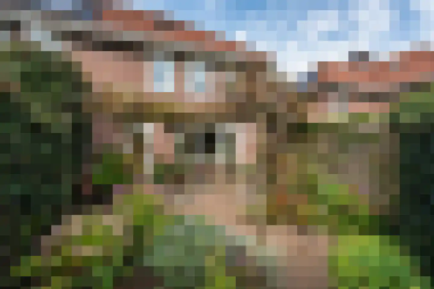 Willem Lodewijkhof 44 Steenwijk thumbnail 26