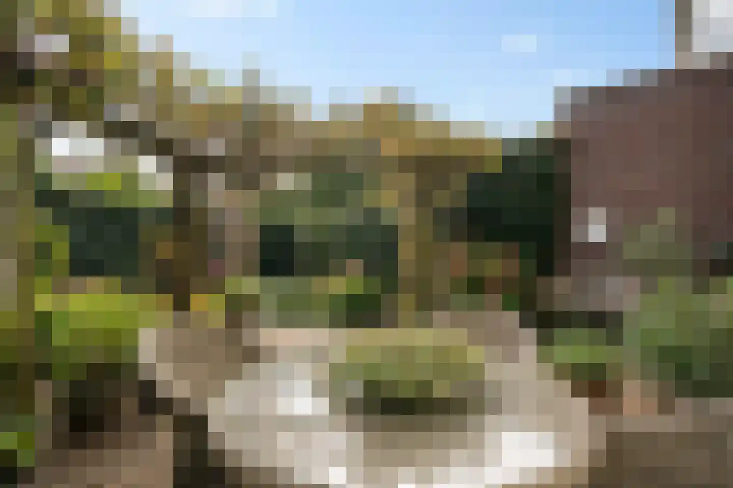 Willem Lodewijkhof 44 Steenwijk thumbnail 28