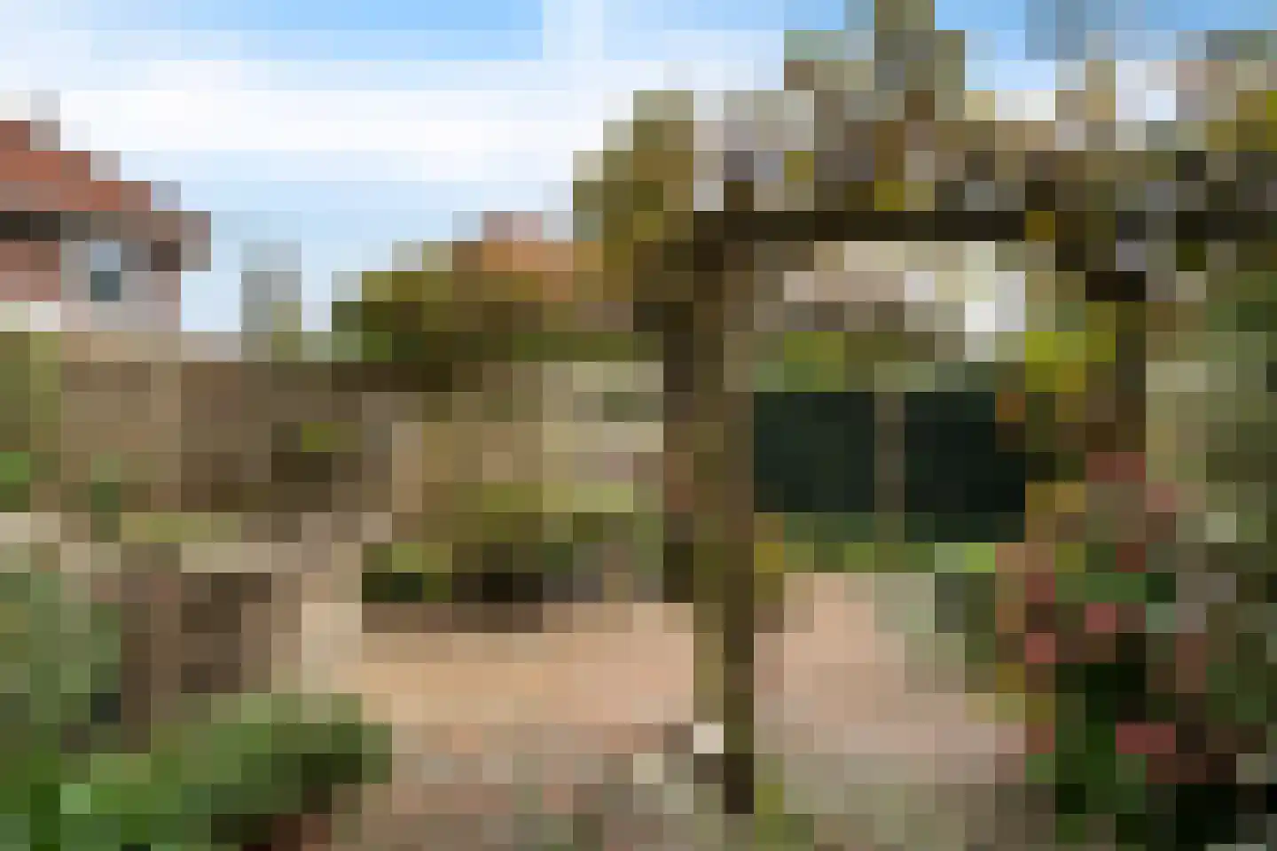 Willem Lodewijkhof 44 Steenwijk thumbnail 29
